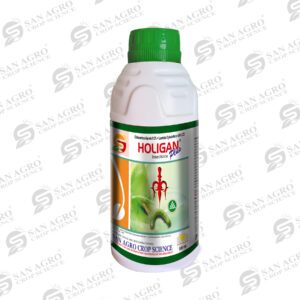 Holigan-Plus